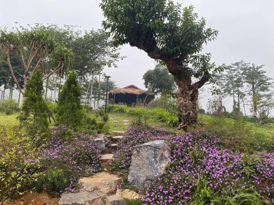 Ho Tam Homestay Hoa Binh Bagian luar foto
